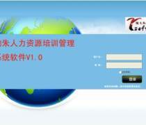 管理軟件開發(fā)、銷售與計算機系統(tǒng)集成服務(wù)的綜合解析